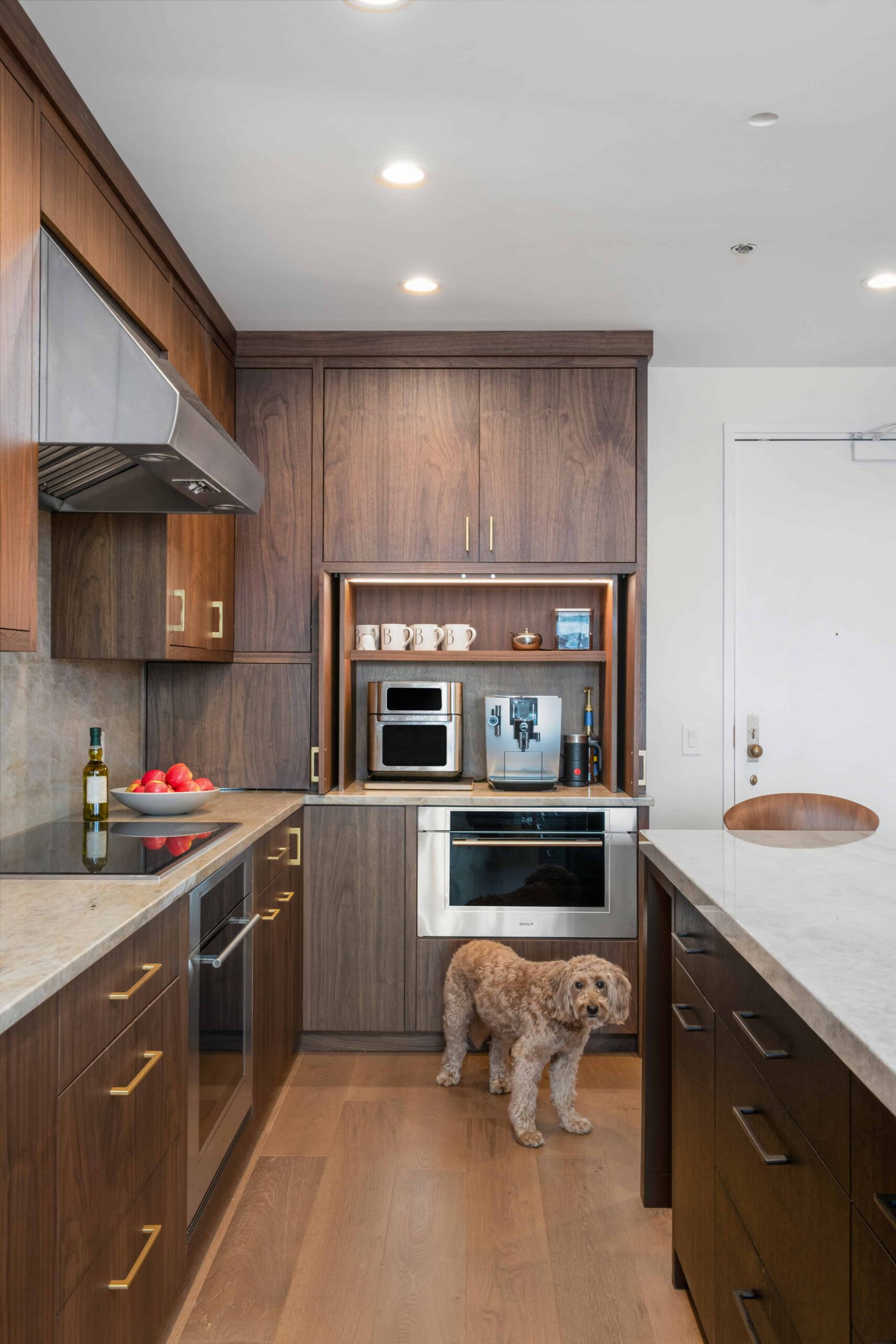 Magnificent Mile Modern Condo Renovation